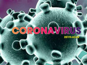 Thế giới - Virus Corona lây lan nhanh như thế nào?