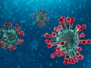 Sức khỏe đời sống - Nhiễm virus Corona có thể tự khỏi như sốt virus và cúm?