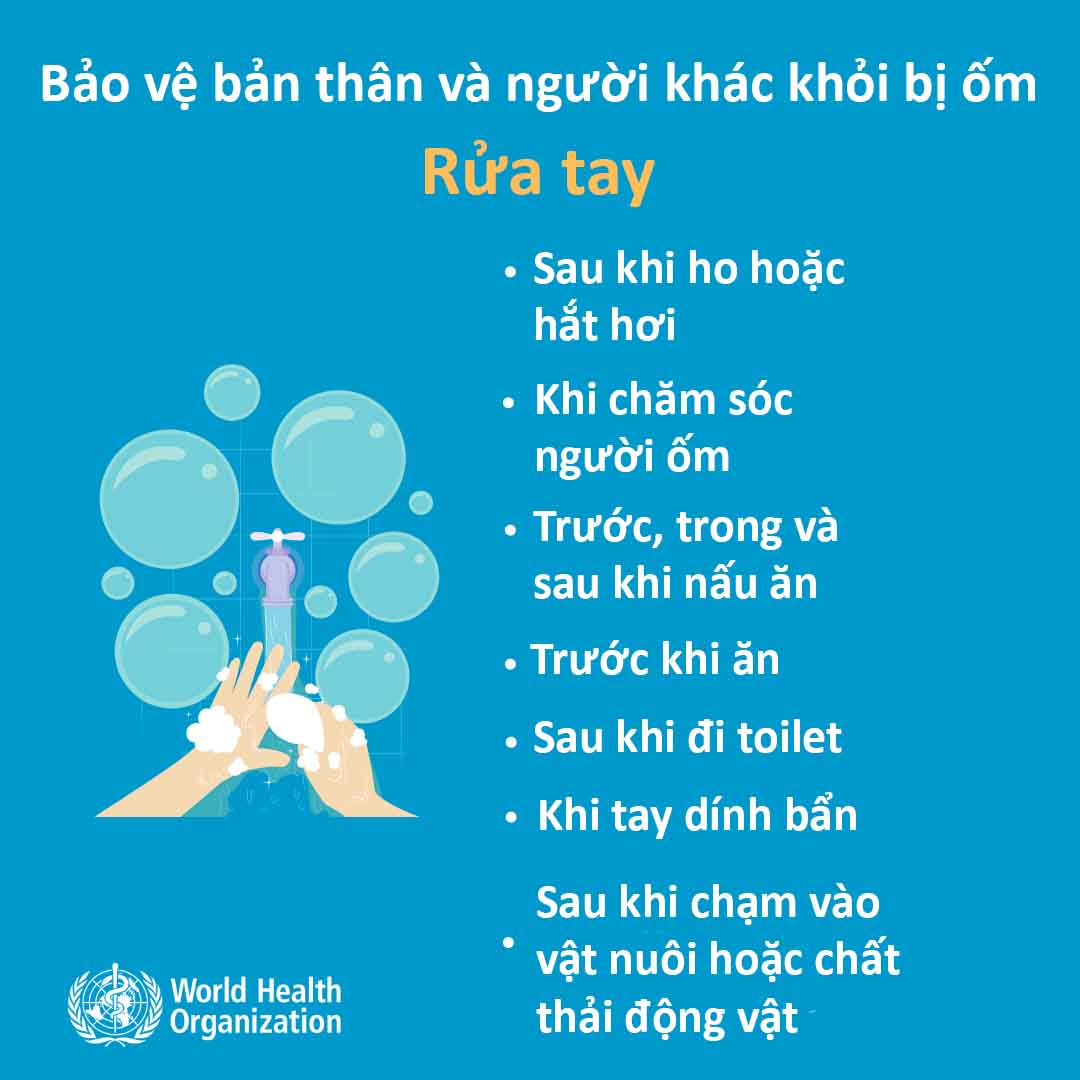 Khuyến nghị chính thức của WHO về cách phòng tránh lây nhiễm virus Corona - 2