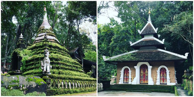 Wat Palad (Wat Pha Lat), Chiang Mai: Đây là một ngôi đền nằm gọn trong rừng, hầu như không có khách du lịch, và không mất phí vào cửa. Một cảm giác thực sự nhẹ nhõm và thư thái khi ghé thăm nơi này.
