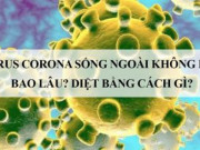 Sức khỏe đời sống - Virus Corona sống trong không khí bao lâu, cách đi thang máy không sợ lây bệnh?