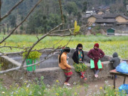 Du lịch - 'Ngẩn ngơ' với vẻ đẹp Hà Giang chìm đắm trong sương mờ