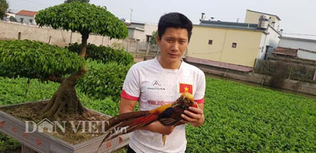 Ở Việt Nam, nhiều người đã nuôi chim trĩ đỏ 7 màu. Ví dụ như anh Nguyễn Văn Luân (33 tuổi) trú tại xóm 12, xã Giao Thịnh, huyện Giao Thủy, Nam Định bỏ nghề lái xe về quê nuôi chim trĩ.