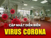 Tin tức trong ngày - Dịch virus Corona 9/2: Nhà khoa học Việt chế tạo Kit thử Corona cho kết quả sau 70 phút