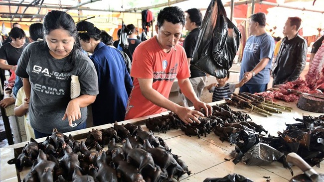 Tomohon là khu chợ nổi tiếng ở đảo Sulawesi của Indonesia. Khu chợ này chuyên bán chó, mèo, động vật hoang dã, trong đó có rắn, dơi, chuột khiến nhiều người giật mình.