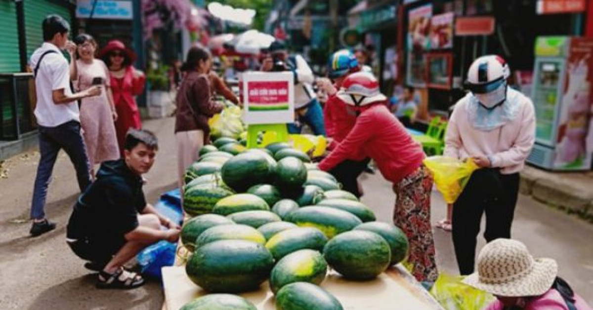 Người dân tham gia "giải cứu" dưa hấu ở Đắk Lắk