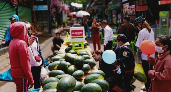 Sau 2 ngày, hơn 9 tấn dưa hấu đã được "giải cứu" thành công