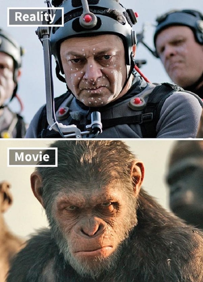 Trong phim "Sự trỗi dậy của bầy khỉ", chẳng có chú khỉ nào đóng phim cả. Tất cả là do con người đóng là được kỹ xảo hóa mà thôi