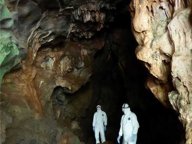 Các chuyên gia tại Viện virus học ở Vũ Hán khám phá hang dơi ở tỉnh Vân Nam.