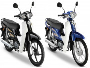 Thế giới xe - 2020 Honda Dream ra mắt, đồ họa mới, giá từ 26,85 triệu đồng