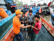 Công nghệ thông tin - Viettel nói gì trước cáo buộc &quot;phát tán thông tin bất lợi cho đối thủ&quot; của Facebook