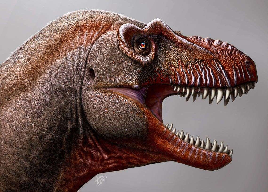 Hình minh họa phần đầu của loài khủng long&nbsp;Thanatotheristes&nbsp;degrootorum, biệt danh "thần chết" (Tranh: Bảo tàng Hoàng gia&nbsp;Royal Tyrrell)