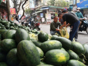 Thị trường - Tiêu dùng - Hàng nông sản vẫn ùn ùn lên cửa khẩu, Bộ Công Thương ra công văn hỏa tốc