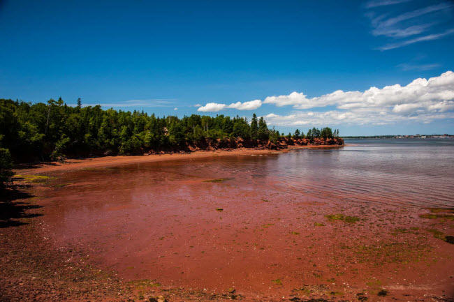 Đảo Prince Edward, Canada: Hòn đảo này nổi tiếng với những bãi biển cát đỏ như máu. Cát ở đây có màu đỏ là do chúng chứa nhiều sắt.

