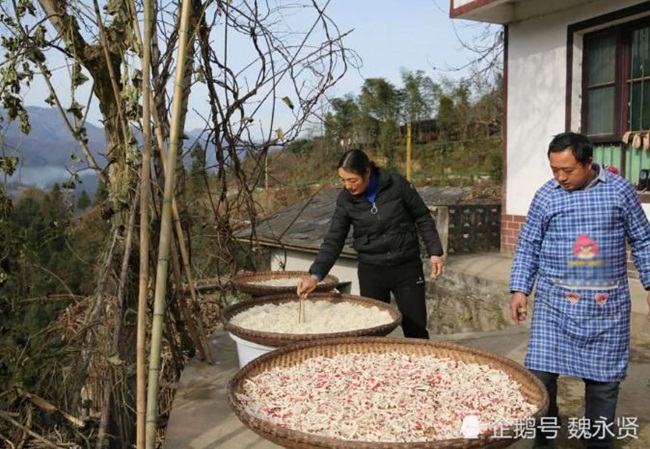 Củ cải phơi khô cũng được làm tại nhà là mặt hàng để bán ở chợ cho khách có nhu cầu.