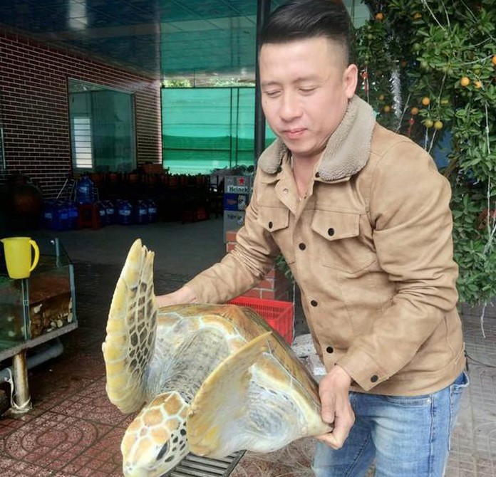 Cá thể rùa biển khủng đang được gia đình anh Thắng chăm sóc để chờ thả về biển. Ảnh: Thạch Quỳnh