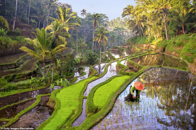 Tại Bali, du khách có cơ hội trải nghiệm nền văn hóa địa phương rất đa dạng.
