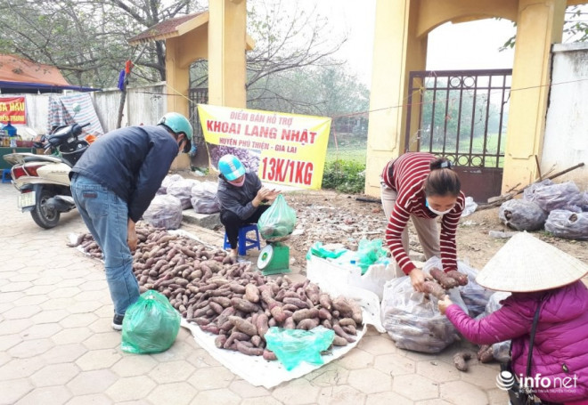 Theo người bán hàng, do không xuất khẩu được nên họ mua giúp người dân Gia Lai và vận chuyển về Hà Nội bán với giá hỗ trợ để đủ bù đắp chi phí vận chuyển.