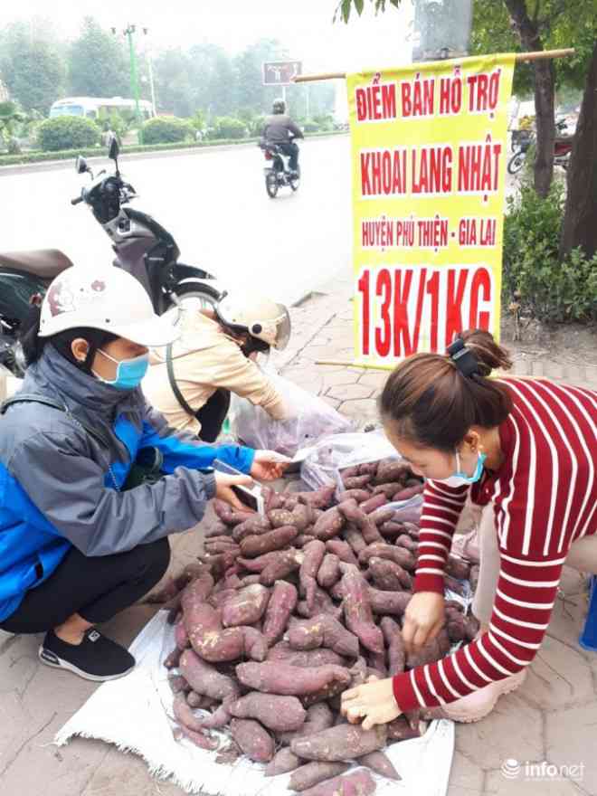 Chị bán hàng này cho biết, mỗi ngày chị bán được hơn nửa tấn khoai cho những người mua trực tiếp hoặc những người mua online chị cũng giao hàng tận nơi, nhưng với điều kiện phải mua từ 20kg trở lên...