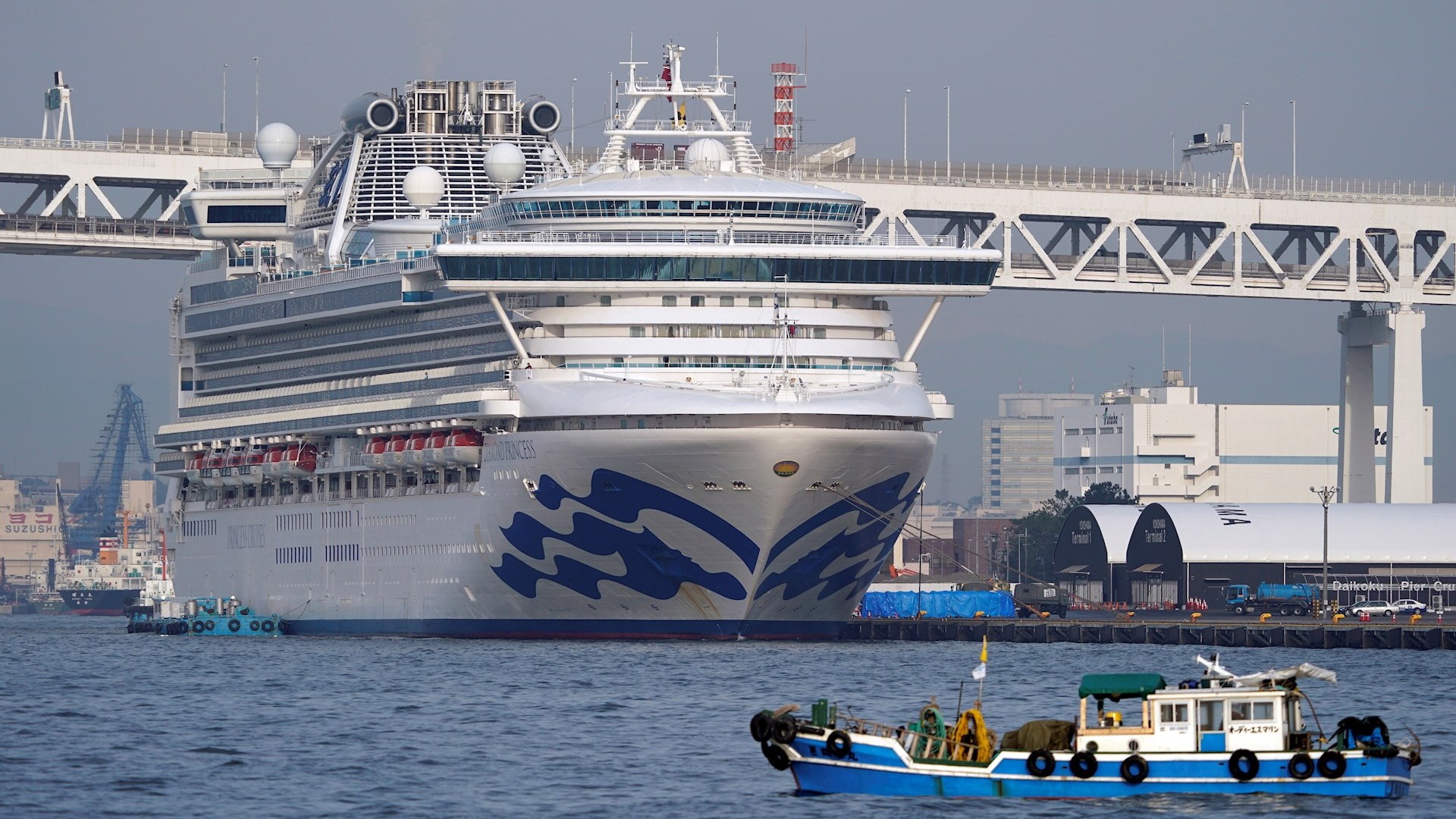 Du thuyền Diamond Princess có hơn 600 hành khách bị nhiễm virus Corona tại Nhật Bản (ảnh: Lopezdoriga)
