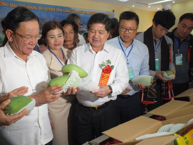 Thứ trưởng Lê Quốc Doanh (thứ ba từ trái sang) dự lễ công bố sản phẩm xoài Sơn La xuất khẩu sang thị trường Mỹ tháng 6-2019