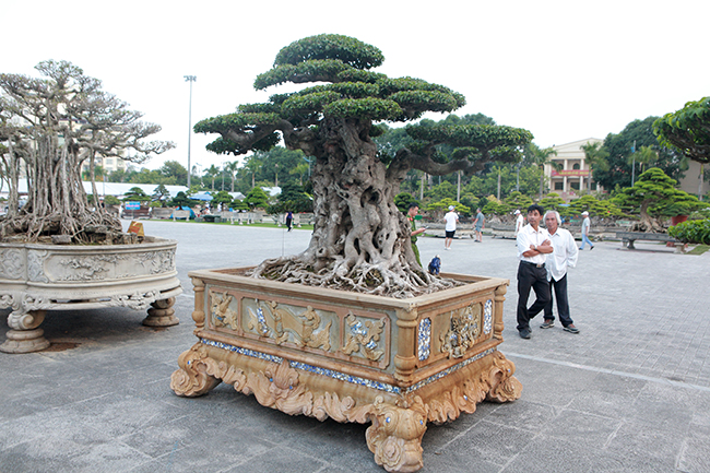 Giữa tháng 3/2019, thông tin cây sanh mang tên “Tiên lão giáng trần” của ông &nbsp;Mười được một đại gia Dũng &#34;Việt Trì&#34; mua lại với giá 16 tỷ đang khiến giới sinh vật cảnh chấn động. Tuy nhiên, cuộc mua bán không thành công.