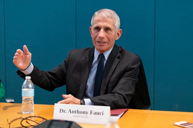 Ông Anthony Fauci, giám đốc Viện dị ứng và bệnh truyền nhiễm quốc gia Mỹ. Ảnh: USA Today