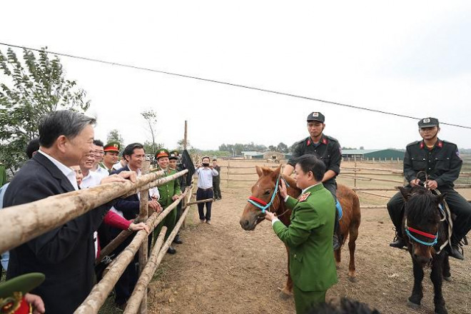 Bộ trưởng Tô Lâm và các đại biểu thăm khu huấn luyện kỵ binh