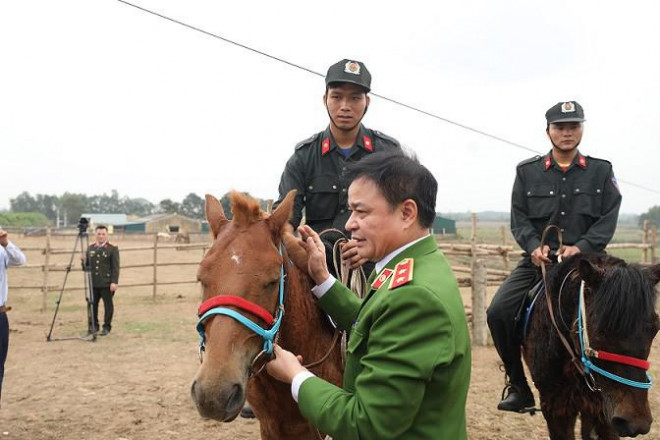 Trung tướng Phạm Quốc Cương, Tư lệnh Bộ Tư lệnh CSCD giới thiệu về đặc tính của giống ngựa kỵ binh đang được huấn luyện