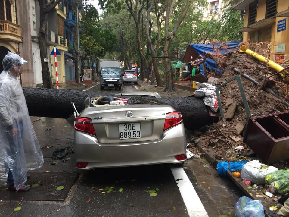 Sau cơn&nbsp;mưa lớn, cây cổ thụ bật gốc đè ngang ô tô