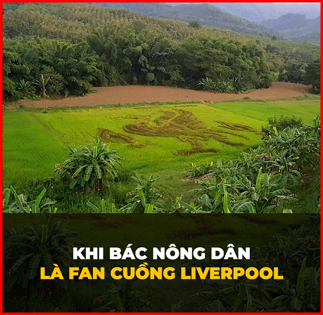 Khi người nông dân là fan hâm mộ cuồng nhiệt của Liverpool.