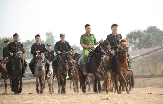 Cán bộ, chiến sỹ Đoàn Cảnh sát cơ động Kỵ binh huấn luyện, thuần hoá ngựa.