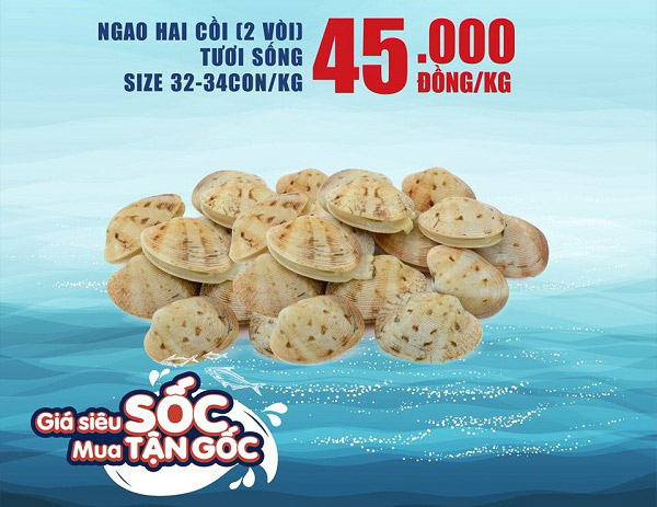 Siêu thị&nbsp;tham gia vào giải cứu ngao hai cồi với giá 45.000đ/kg size 32-34 con/kg từ nay đến 15/3.