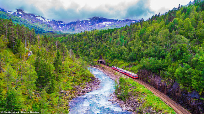 Tuyến tàu hỏa Oslo-Bergen đi qua những khu rừng đẹp ở vùng Voss.
