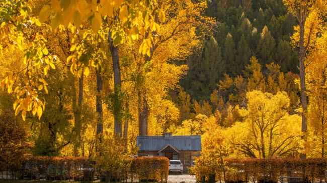 Arrowtown: Nằm trên đảo Nam, thị trấn Arrowtown là điểm đến hấp dẫn để chiêm ngưỡng sắc màu mùa thu.