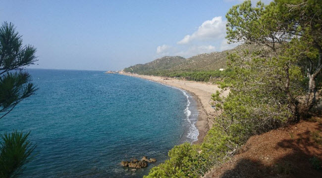 7. Bãi biển &nbsp;Playa El Thorn, Tarragona, Tây Ban Nha.