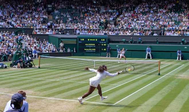 Wimbledon 2020 có thể bị chính phủ Anh hủy tổ chức nếu dịch Covid-19 nghiêm trọng
