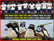 Tranh vui - Tottenham bị loại ê chề khỏi cúp C1, ngoại hạng Anh đang &quot;run rẩy&quot;