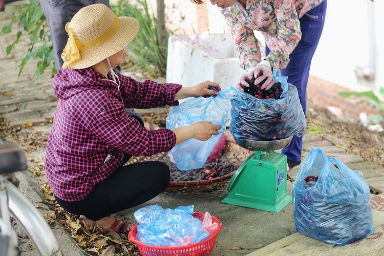 Bán dâu tằm online giữa mùa dịch, thu về bạc triệu mỗi ngày - 4