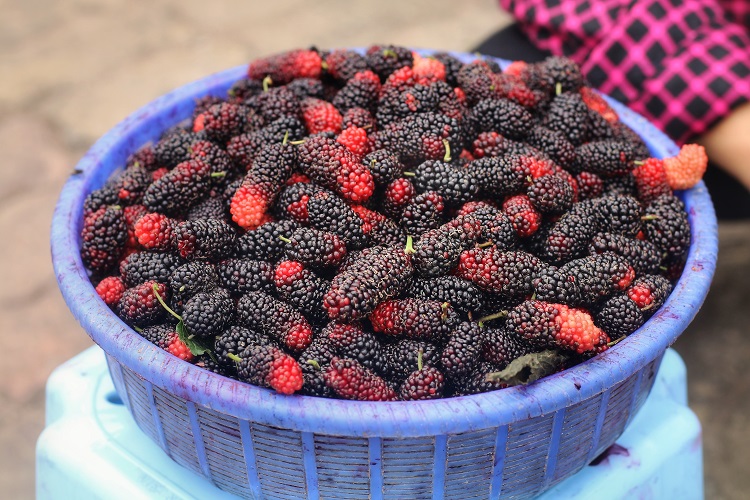 Dâu tằm được chọn lựa&nbsp;kỹ lưỡng trước khi giao hàng cho khách mua online.