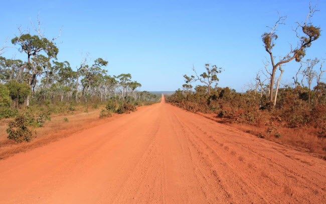 Bán đảo Cape York, Australia: Mặc dù nơi đây rất hẻo lánh, nhưng hệ thực vật đa dạng và nhiều loại động vật sinh sống. Số dân của bán đảo này khoảng 18.000 người.
