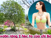 Ca nhạc - MTV - Người đẹp vung tiền mua 20.000m2 đất rộng thênh thang để nghỉ dưỡng là ai?