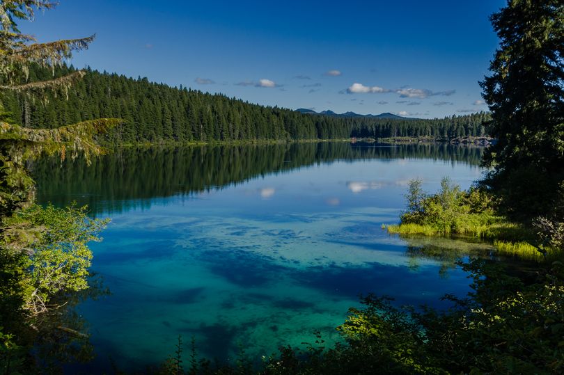 Khám phá hồ nước ẩn chứa cả khu rừng cổ xưa - 1