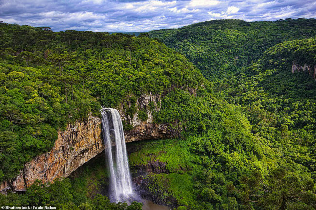 Thác Caracol nổi bật giữa rừng cây nguyên sinh trong vườn quốc gia Caracol ở Brazil.
