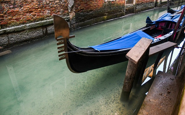 Các dòng kênh ở Venice sạch chưa từng thấy sau khi bị phong tỏa - 1