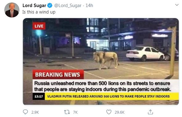 Thông tin và hình ảnh về việc Nga thả sư tử ra đường phố đang làm xôn xao mạng xã hội&nbsp;
