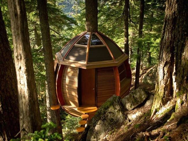 Khi mới 26 tuổi, nhà phát triển phần mềm Joel Allen đã xây dựng phiên bản riêng của một ngôi nhà trên cây ở Whistler, Canada.
