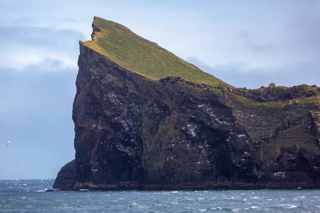Con người đã luôn tìm kiếm các địa điểm xa xôi trong nhiều thế kỷ. Khoảng 300 năm trước, đảo Elliðaey của Iceland là nơi sinh sống của năm gia đình với nguồn thức ăn chính là đánh bắt cá nóc.