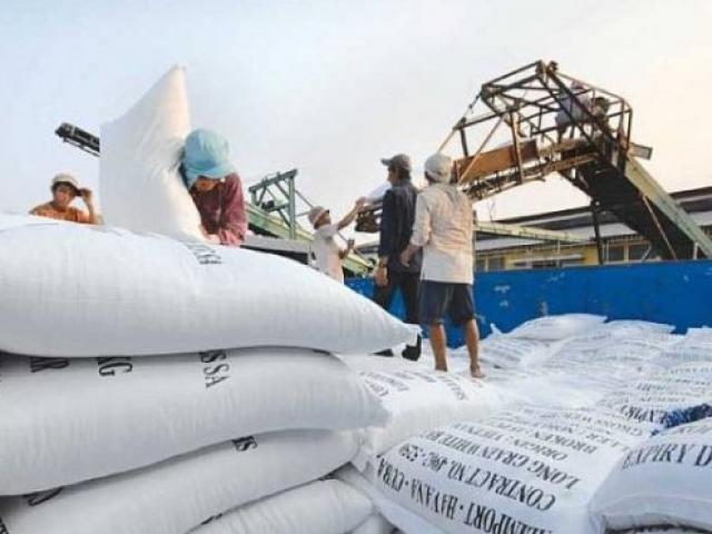 Trung Quốc tăng cường nhập khẩu gạo từ Việt Nam, kim ngạch và giá tăng sốc