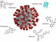 Tin tức trong ngày - WHO chính thức thử nghiệm thuốc điều trị bệnh Covid-19